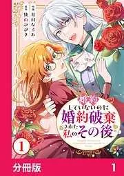 婚約していないのに婚約破棄された私のその後1
