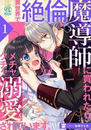 異世界で絶倫魔導師に買われたらメチャクチャ溺愛されています。 1話