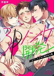 3Pノンケ開発~エリート2人に狙われた俺 [2巻]