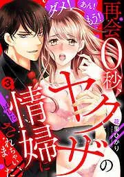 ダメ!あん!もう!再会0秒、ヤクザの情婦にされちゃいました [3巻]
