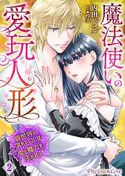 魔法使いの愛玩人形 異世界に落ちたOLは愛と魔力を注がれる02