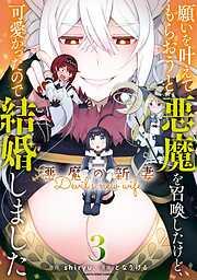願いを叶えてもらおうと悪魔を召喚したけど、可愛かったので結婚しました ~悪魔の新妻~3 [3巻]