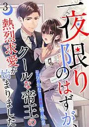 一夜限りのはずが、クールな帝王の熱烈求愛が始まりました3話 [3巻]