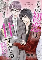その初恋は甘すぎる~恋愛処女には刺激が強い~ [3巻]