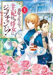 書影