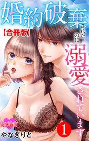 婚約破棄されたのに溺愛されています 合冊版 1巻