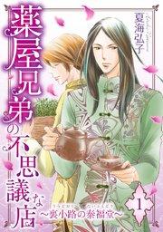 薬屋兄弟の不思議な店~裏小路の泰福堂~(1)