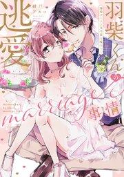 書影