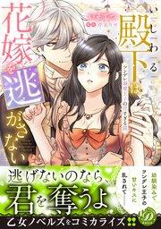 いじわる殿下は花嫁を逃がさない~ツンデレ溺愛王子の甘すぎる罠~