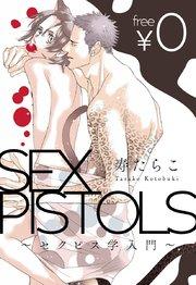 SEX PISTOLS ~セクピス学入門~