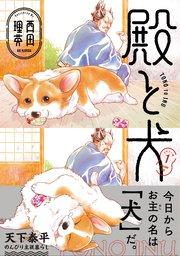 書影