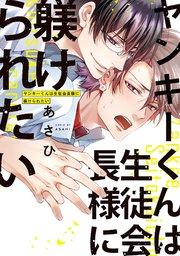 ヤンキーくんは生徒会長様に躾けられたい【電子単行本】【シーモア限定特典付き】