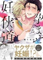 【特装版】孕ませ妊侠道上【電子限定おまけ付き】