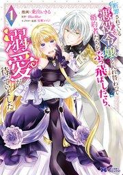 書影