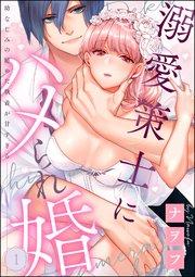 溺愛策士にハメられ婚 幼なじみの秘めた執着が甘すぎる(分冊版) 【第1話】
