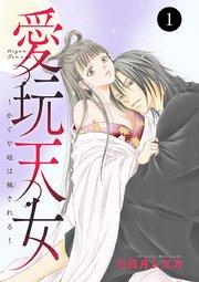 愛玩天女~かぐや姫は穢される~ 1