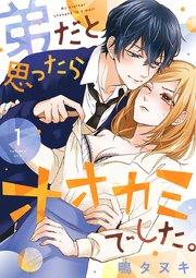 書影