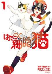 書影