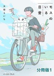 書影