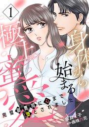 身体から始まる極上蜜愛~完璧御曹司に心まで堕とされました~【分冊版】1話