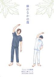 書影