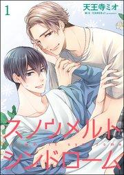 書影