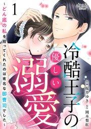 冷酷王子の優しい溺愛~どん底の私を拾ってくれたのは有名な御曹司でした~(1)