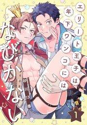 書影
