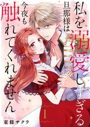 私を溺愛しすぎる旦那様は今夜も触れてくれません(1)