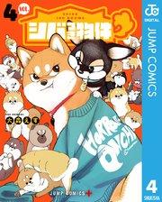 書影