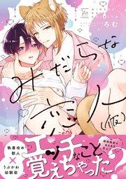 書影