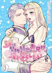 妹は堅物騎士のお兄様を淫れ堕としたい【デジタル修正版】1