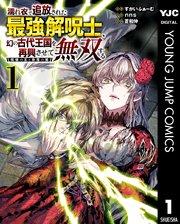 書影