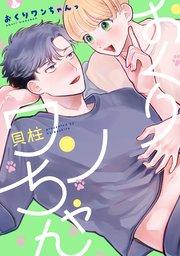 書影