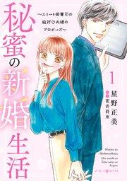秘蜜の新婚生活~エリート御曹司の絶対内緒のプロポーズ~ 1
