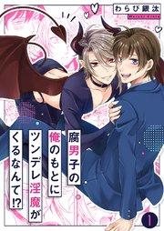 腐男子の俺のもとにツンデレ淫魔がくるなんて!? 1巻