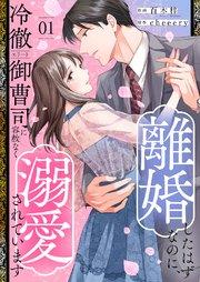 離婚したはずなのに、冷徹エリート御曹司に容赦なく溺愛されています【電子単行本版】 1巻