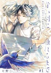 青い羽に触れるまで 1巻