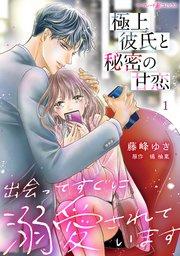 極上彼氏と秘密の甘恋~出会ってすぐに溺愛されています~【分冊版】1話