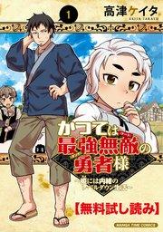 かつては最強無敵の勇者様 ~姫には内緒のレベルダウン生活~ 1巻