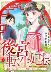 後宮転生妃伝~前世で国を傾けたので、現世は節約に励みます~(1)