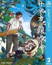 書影
