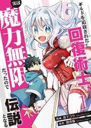 書影