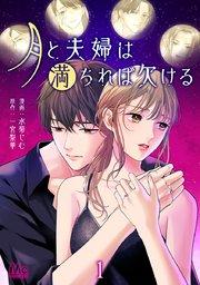 月と夫婦は満ちれば欠ける 1