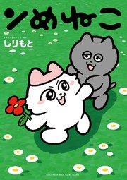 ンめねこ