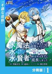 水魔法なんて使えないと追放されたけど、水が万能だと気がつき水の賢者と呼ばれるまでに成長しました~今更水不足と泣きついても簡単には譲れません~【分冊版】1