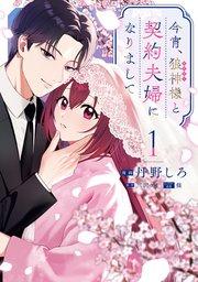 書影