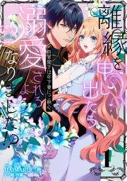 離縁を申し出たら溺愛されるようになりました!? ~将軍閣下は年下妻にご執心~(1)