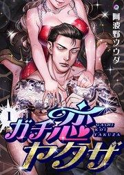 書影