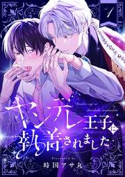 書影